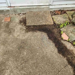 Leaf Removal by Steve&#039;s Lawn Care reviewed on May 21, 2025