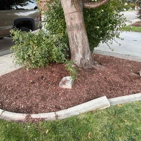 Landscaping by Delbert Jones reviewed on August 21, 2024