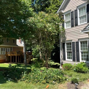 Bush Trimming by LPZ Landscaping reviewed on July 22, 2022