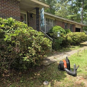 Bush Trimming by Scotland lawn care and Pressure washing reviewed on October 19, 2022