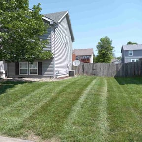 Flower Bed Weeding by The Lawn Cypress reviewed on December 5, 2024
