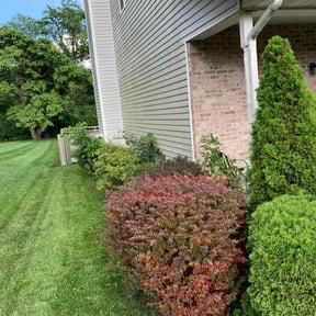 Bush Trimming by Happy plantsman reviewed on September 12, 2024