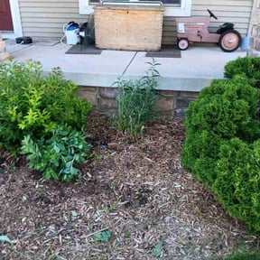 Flower Bed Weeding by Blossom Lawn Care reviewed on May 26, 2025