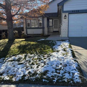 Leaf Removal by Verde Lawncare reviewed on May 7, 2022