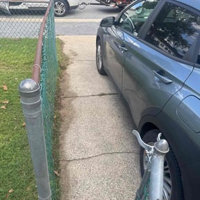 Leaf Removal by LSLTDallas/FortWorthTruGreen reviewed on July 18, 2025