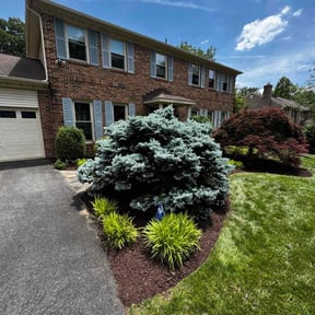 Mulching by Lawn services JAV reviewed on September 6, 2024