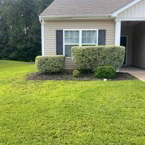 Bush Trimming by JES Lawn Service LLC reviewed on December 7, 2024