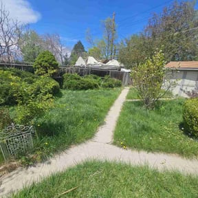 Bush Trimming by Youngs lawncare and tree service  reviewed on May 12, 2022