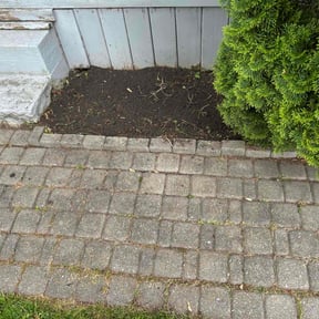 Flower Bed Weeding by Top Turf L.L.C reviewed on May 26, 2022