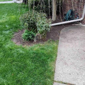 Leaf Removal by Enclave Landscape Management reviewed on July 25, 2022