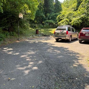 Bush Trimming by Carbon Dioxide Recyclers reviewed on April 28, 2025