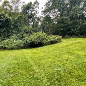 Landscaping by Killian Landscaping, LLC. reviewed on July 28, 2022
