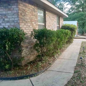 Bush Trimming by C n C Services reviewed on July 3, 2022