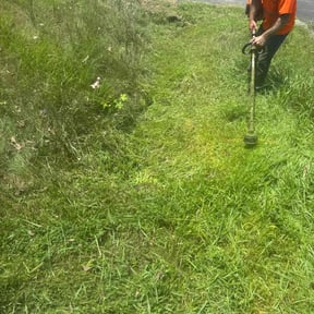 Leaf Removal by Big Country Cuts Lawn Services reviewed on July 7, 2022