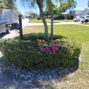 Bush Trimming by ShiftChange LLC Lawn Service reviewed on August 2, 2022