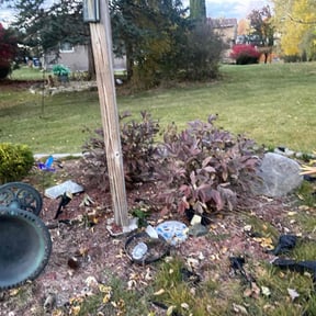 Bush Trimming by Pineda landscaping reviewed on April 29, 2022