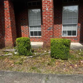 Bush Trimming by Greenland Mowing Services reviewed on June 18, 2021