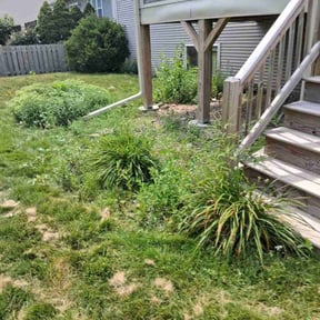 Bush Trimming by Greenline Lawn Care LLC reviewed on October 27, 2022