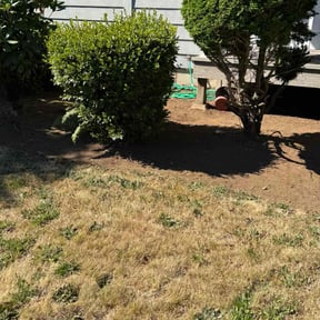 Flower Bed Weeding by RJ landscaping reviewed on July 6, 2020