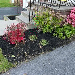 Landscaping by Landscape & Mowing reviewed on July 30, 2025