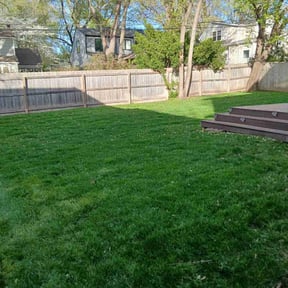 Mulching by Torres Lawn Care reviewed on July 31, 2022