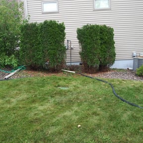 Cleanups by Midwest Ecoscapes reviewed on April 13, 2025