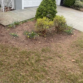 Leaf Removal by Aces reviewed on August 6, 2025