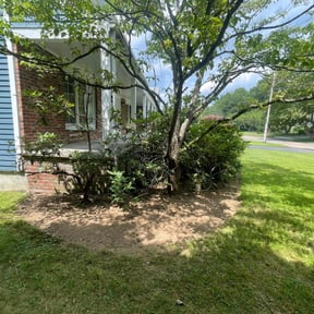 Flower Bed Weeding by Everything Lawn reviewed on July 5, 2023