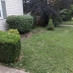 Bush Trimming by MOW AND GO reviewed on June 26, 2022