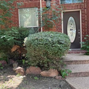 Bush Trimming by D's Lawn Care reviewed on April 15, 2022