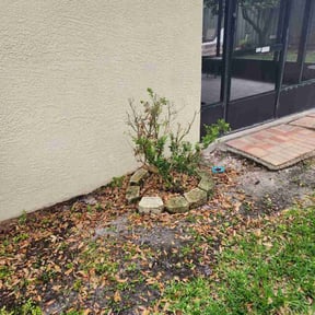 Bush Trimming by Back Street Properties, LLC reviewed on May 19, 2022