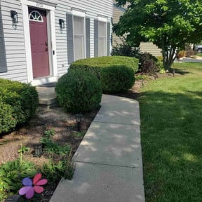 Bush Trimming by Aps reviewed on July 25, 2025
