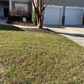 Bush Trimming by Sample Logistics Lawn Service reviewed on December 4, 2021