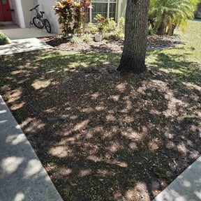 Leaf Removal by Edgar Yanez Services reviewed on May 23, 2022