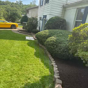 Mulching by Random WareHouses LLC reviewed on October 27, 2022