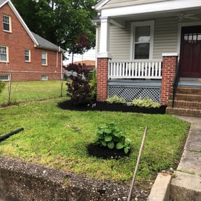 Mulching by Thomas Lawn reviewed on February 25, 2025