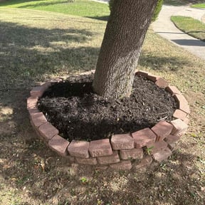 Mulching by Gonzalez Landscaping reviewed on February 4, 2025