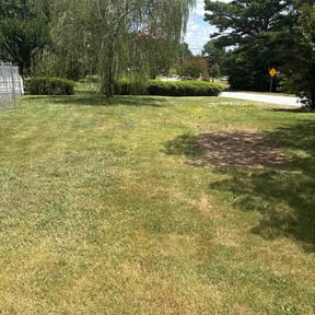Cleanups by Willie's Mobile Lawn Services reviewed on November 24, 2022
