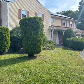 Bush Trimming by Tex Star property services reviewed on May 11, 2022