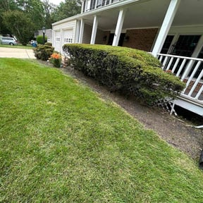 Bush Trimming by Green Day Lawn Service reviewed on October 13, 2021