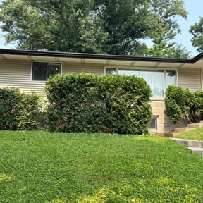 Bush Trimming by Finns landscaping reviewed on November 18, 2024