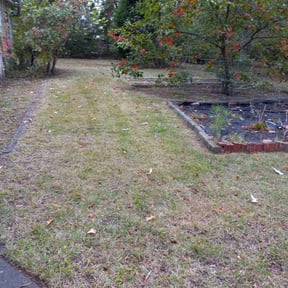 Cleanups by Unknown reviewed on August 3, 2024