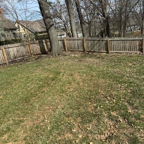 Leaf Removal by BLACK HORSE reviewed on June 3, 2022