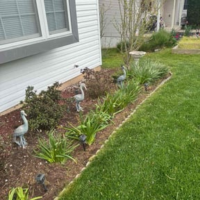 Flower Bed Weeding by Pittsburgh Plowing reviewed on July 12, 2022