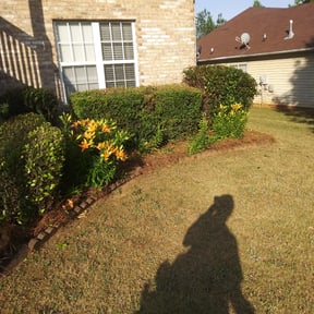 Bush Trimming by Metro Lawns, Inc reviewed on December 21, 2024