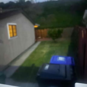 Cleanups by TruGreen LawnCare reviewed on March 4, 2025