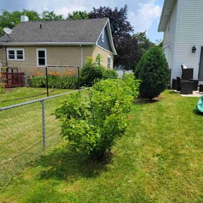 Bush Trimming by Blossom Lawn Care reviewed on May 26, 2025