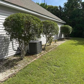 Bush Trimming by Grass Care By the Beach reviewed on July 2, 2025