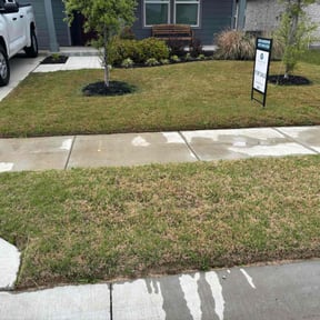 Lawn Seeding by Julian's Lawn Care Service reviewed on July 7, 2022