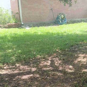 Leaf Removal by Fazal Management Group LLC reviewed on July 29, 2022